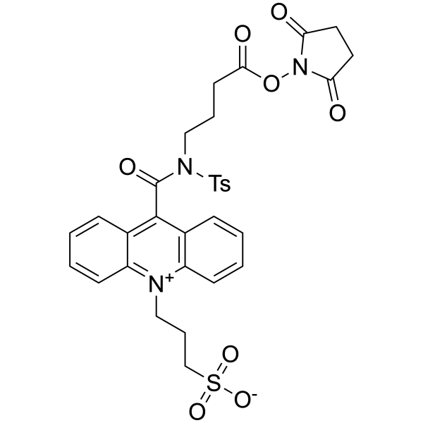 transparent-SP-F-0091