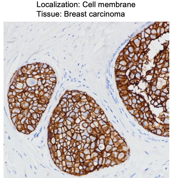 Image_20251104120558_109_59